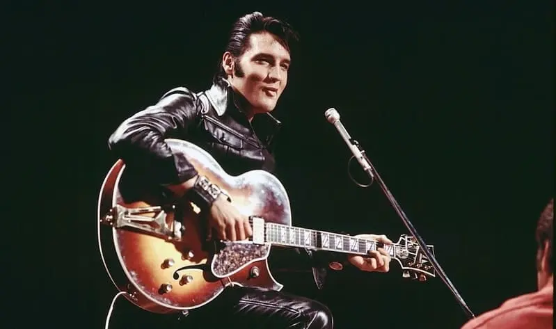 Elvis unplugged
