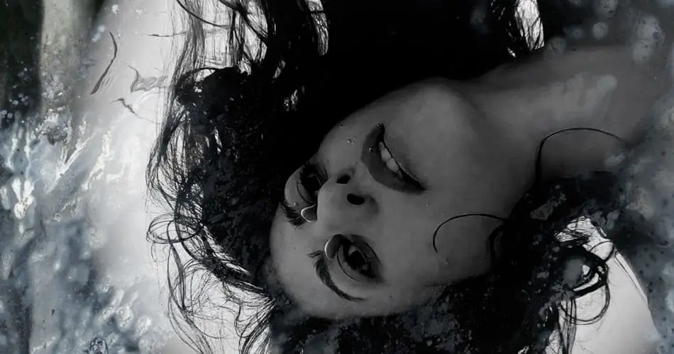 MAUD THE MOTH: SIPHONOPHORES