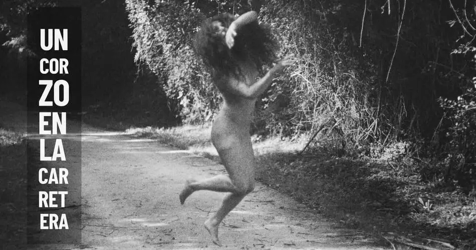 SEDA: UN CORZO EN LA CARRETERA