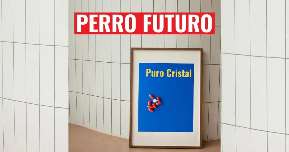 PERRO FUTURO: PURO CRISTAL