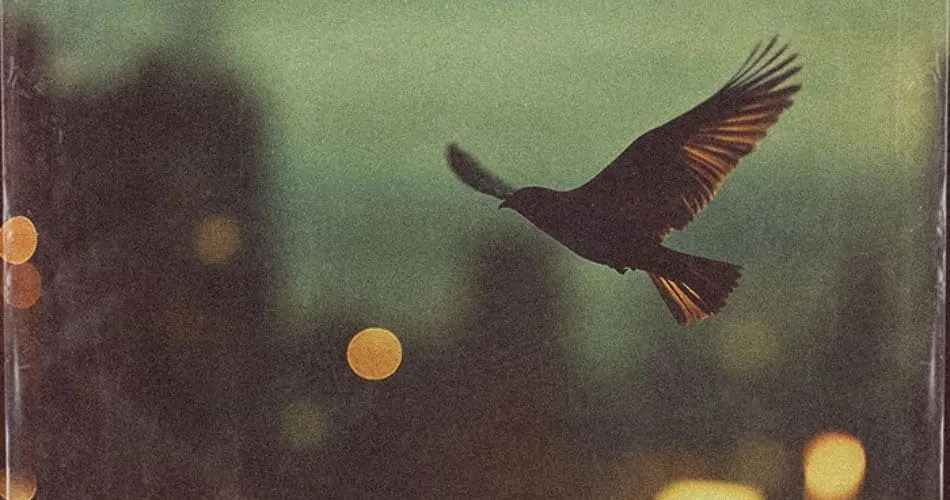 AMANN & THE WAYWARD SONS: THE DRIFTER